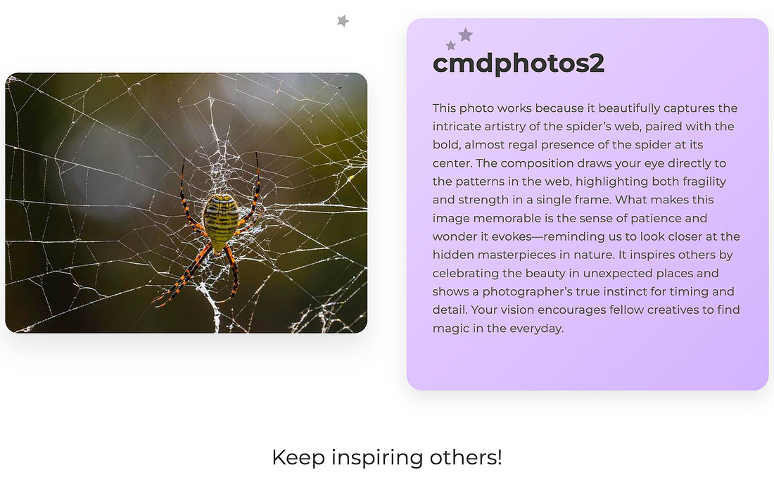 Viewbug editor comment about Argiope aurantia