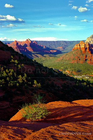Red Rock Canyon, Arizona