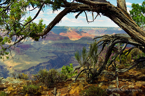 Grand Canyon
