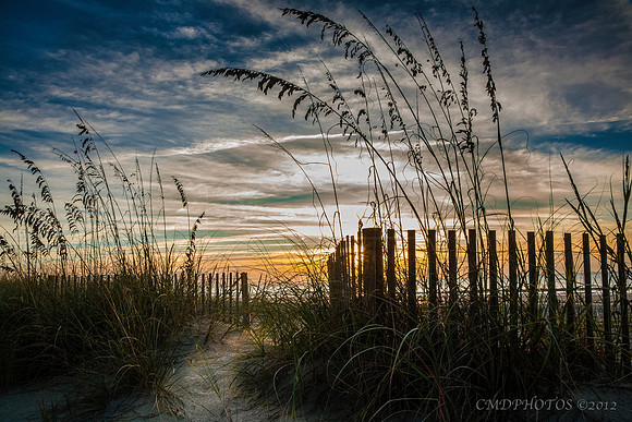 Myrtle Beach Dunes
