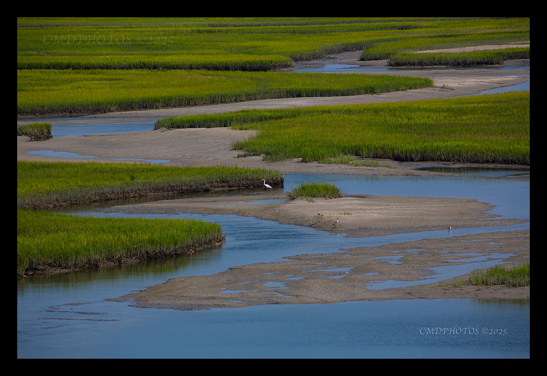 Wrightsville Landscape