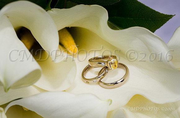 Wedding Photography