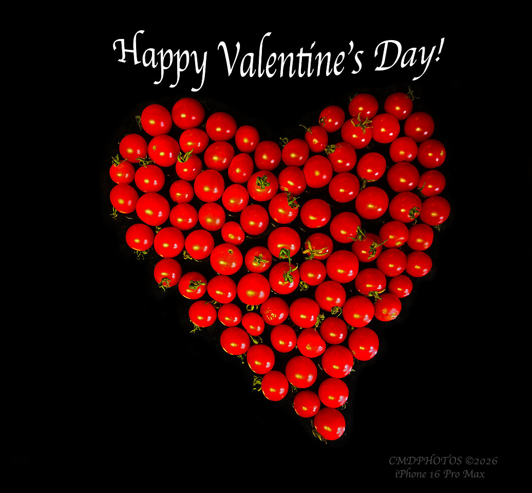 Happy Valentines Day!