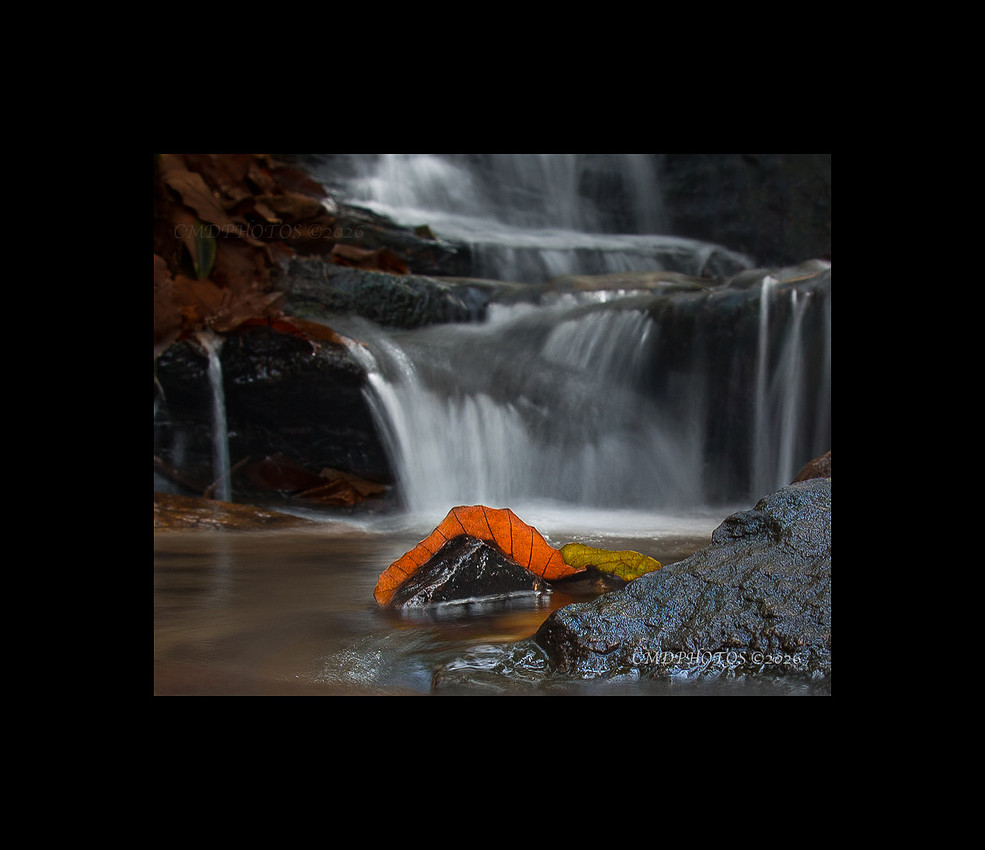 Hanging Rock Fall Leaves