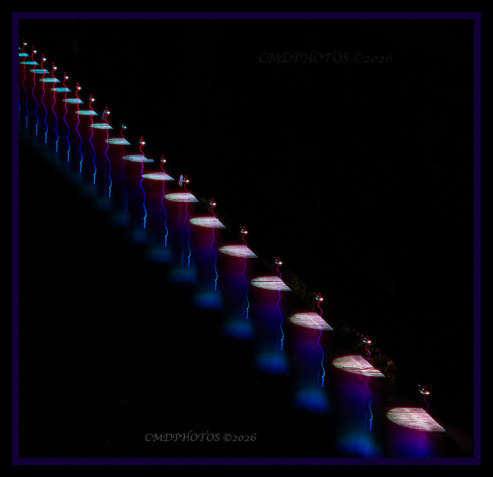 Light Bridge