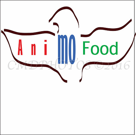 AniMOfoods Company Advertising Design.
